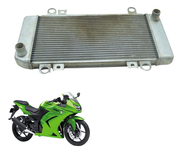 Radiador Kawasaki Ninja 250 R 08-12 Original