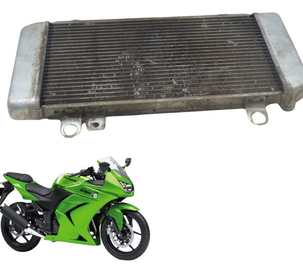 Radiador Kawasaki Ninja 250 R 08-12 Original