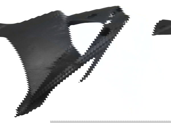 Spoiler Direito Kawasaki Z 300 13-18 Original