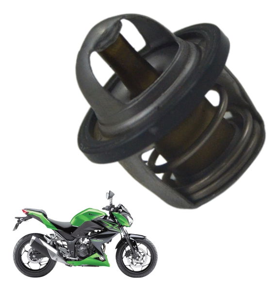 Válvula Termostática Kawasaki Z 300 13-18 Original