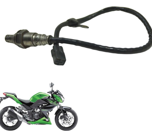 Sonda Lambda Kawasaki Z 300 13-18 Original