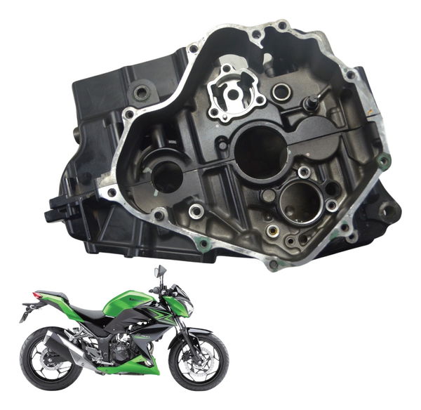 Bloco Motor Carcaça Nfe Baixa Kawasaki Z 300 13-18 Original