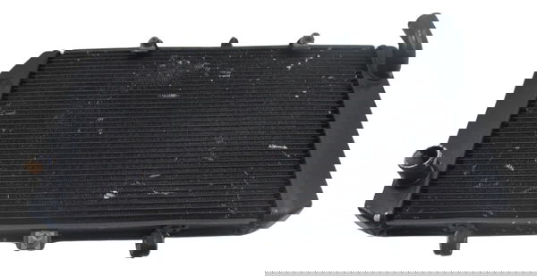 Radiador Água Kawasaki Z 800 13-17 Original
