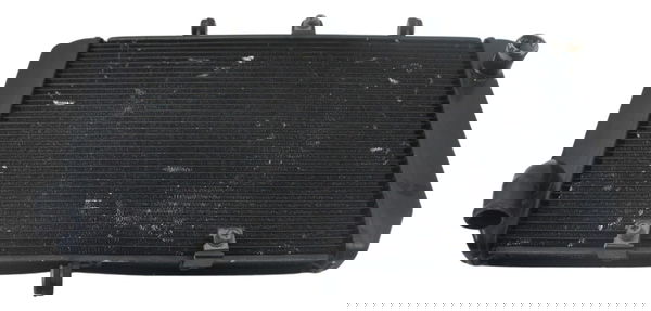 Radiador Água Kawasaki Z 800 13-17 Original
