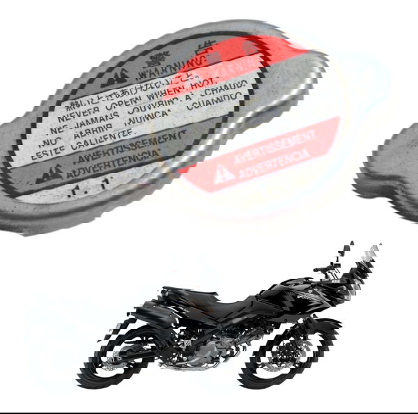 Tampa Radiador Suzuki Dl 650 V Strom 09-13 Original
