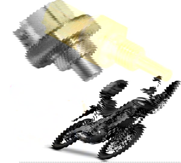 Sensor Temperatura Kawasaki Versys 650 10-14 Original