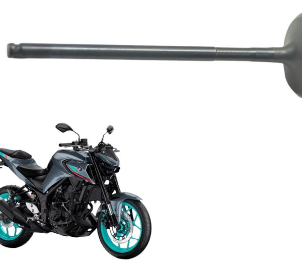 Válvula Admissão Yamaha Mt 03 20-24 Original