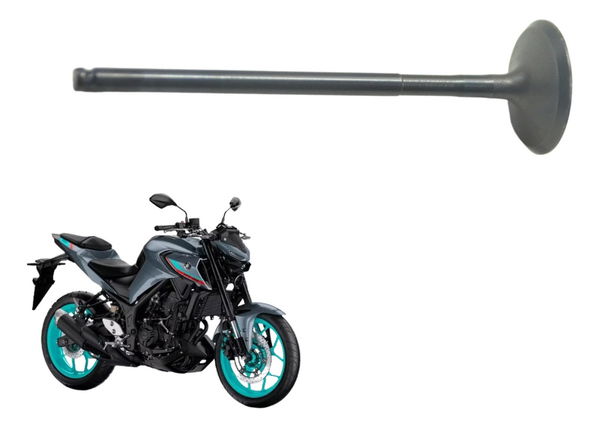 Válvula Admissão Yamaha Mt 03 20-24 Original