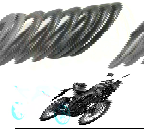 Mola Válvula Yamaha Mt 03 20-24 Original