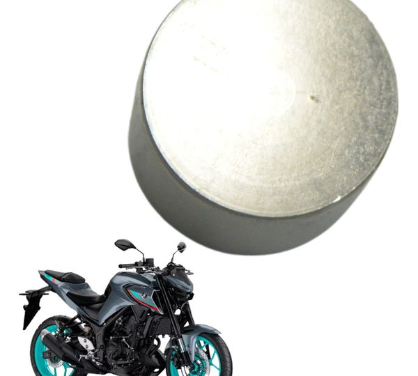 Tucho De Válvula Yamaha Mt 03 20-24 Original