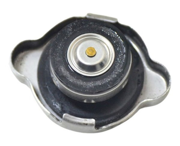Tampa Radiador Honda Cb 650f 15-18 Original