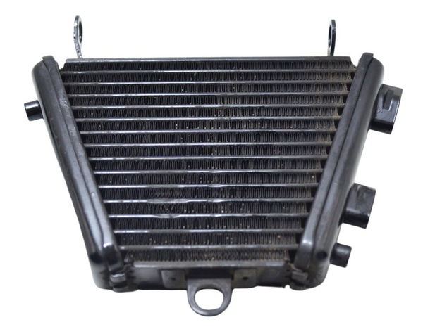 Radiador Óleo Suzuki Gsx-r Srad 1000 11-16 Original