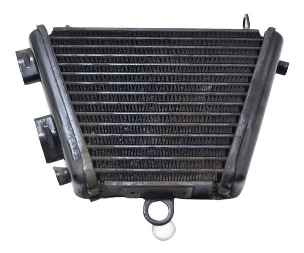 Radiador Óleo Suzuki Gsx-r Srad 1000 11-16 Original