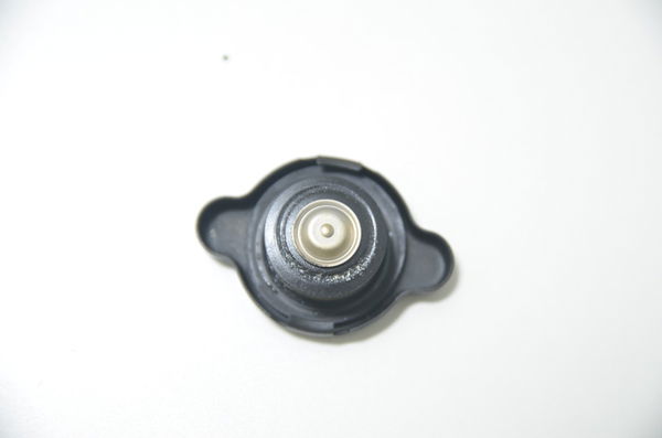 Tampa Radiador Suzuki Dl 1000 V-strom 03-10 Original