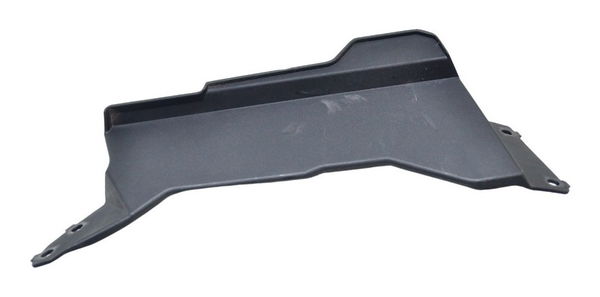 Acabamento Radiador Bmw G 310 Gs 2020-2023 Orig