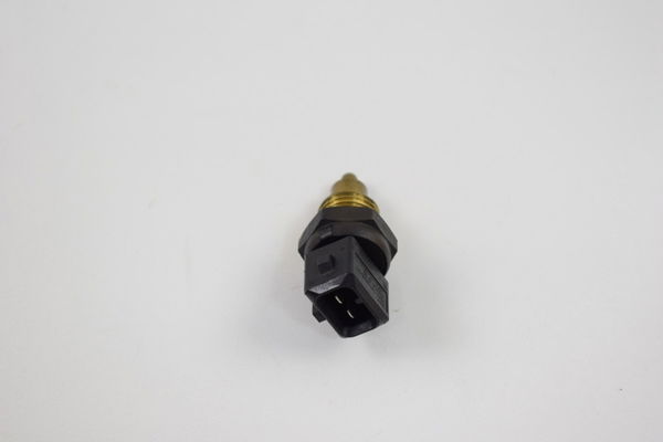 Sensor Temperatura Bmw R 1200 Gs 04-12 Original R1200gs