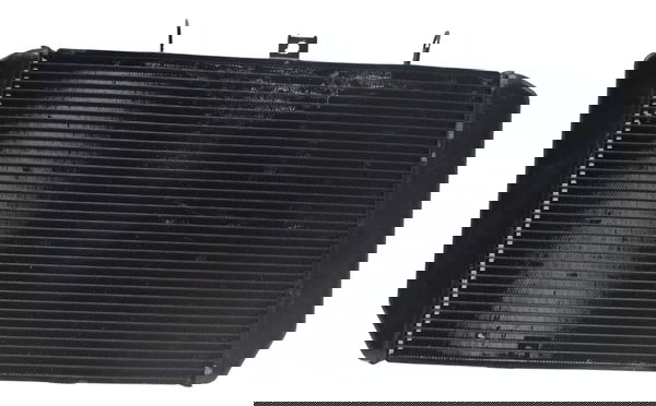 Radiador C/ Detalhes Kawasaki Z 1000 15-22 Original