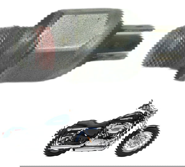 Interruptor Freio Traseiro Harley Xl 1200 2013 Original