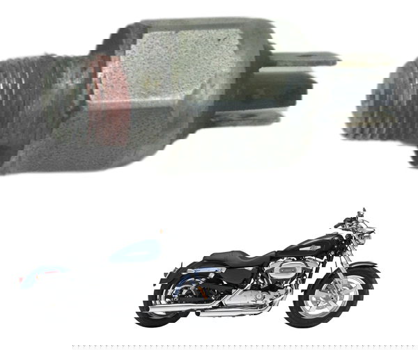 Interruptor Freio Traseiro Harley Xl 1200 2013 Original