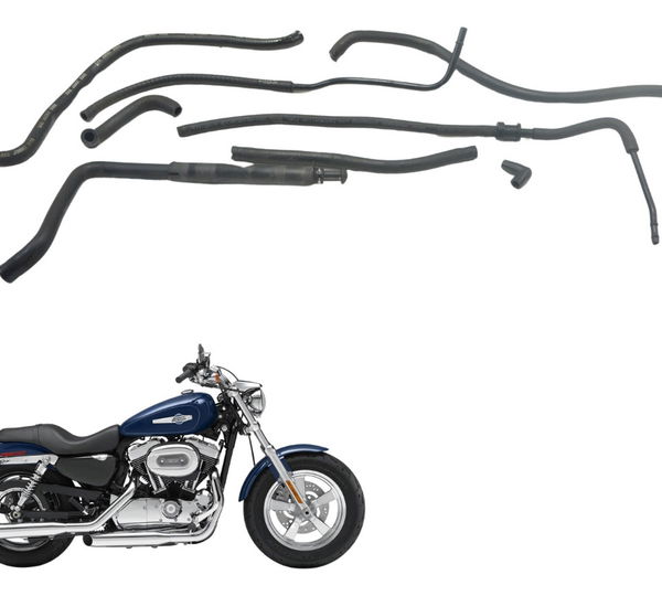 Kit Mangueiras Harley Xl 1200 2013 Original