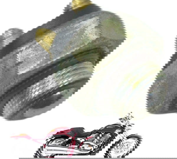 Sensor Neutro Harley V-rod 1130 03-06 Original