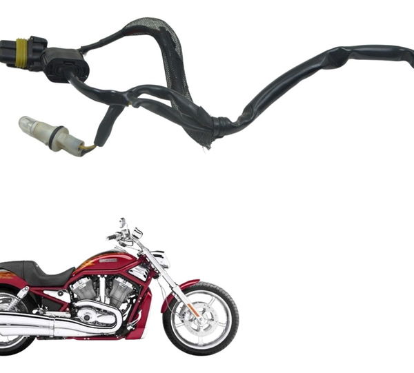 Chicote Farol Harley V-rod 1130 03-06 Original