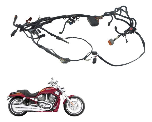 Chicote Principal Harley V-rod 1130 03-06 Original