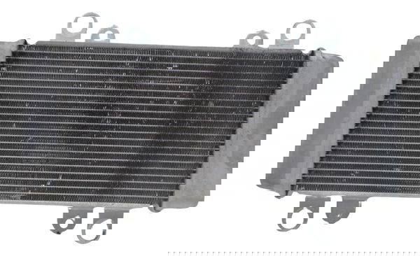 Radiador Kawasaki Ninja 300 13-18 Original