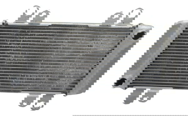 Radiador Kawasaki Ninja 300 13-18 Original