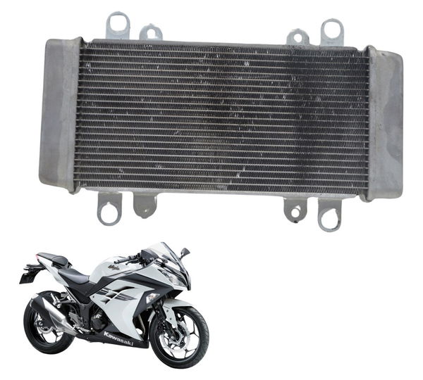 Radiador Kawasaki Ninja 300 13-18 Original