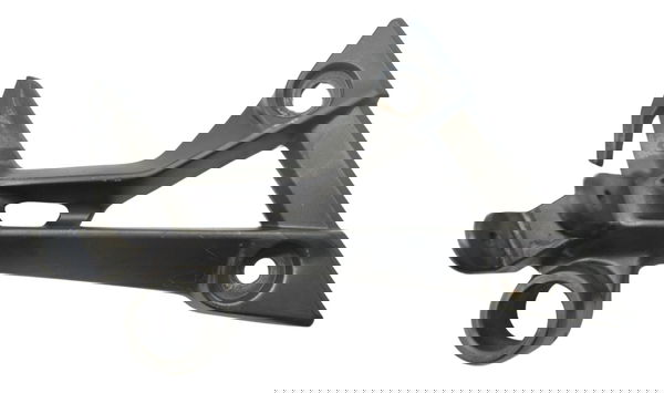 Bacalhau Traseiro Direito Kawasaki Ninja 300 13-18 Original