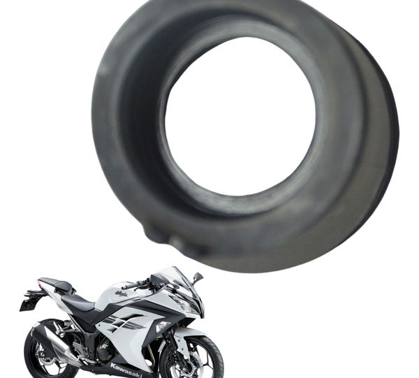 Coletor Admissão Kawasaki Ninja 300 13-18 Original
