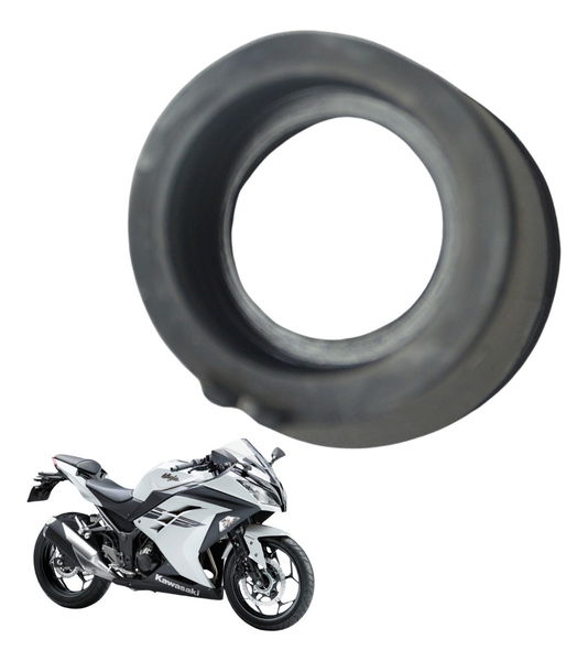 Coletor Admissão Kawasaki Ninja 300 13-18 Original