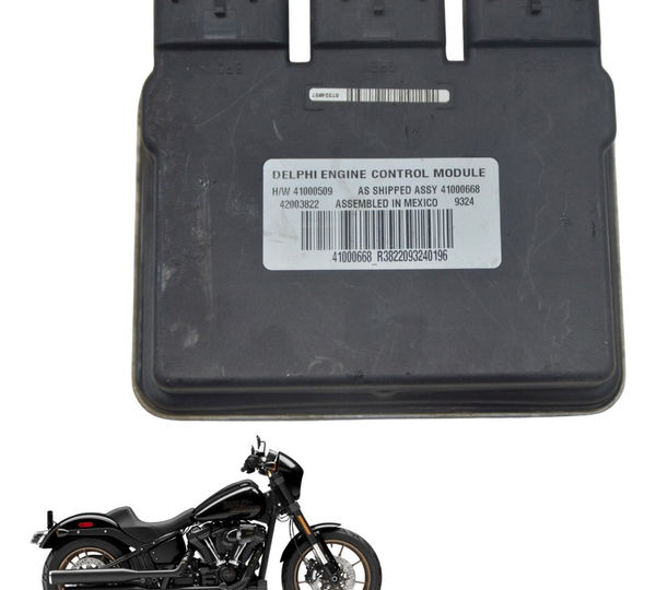 Modulo Ecm 42003822 Harley Softail Low Rider S 114 19-22