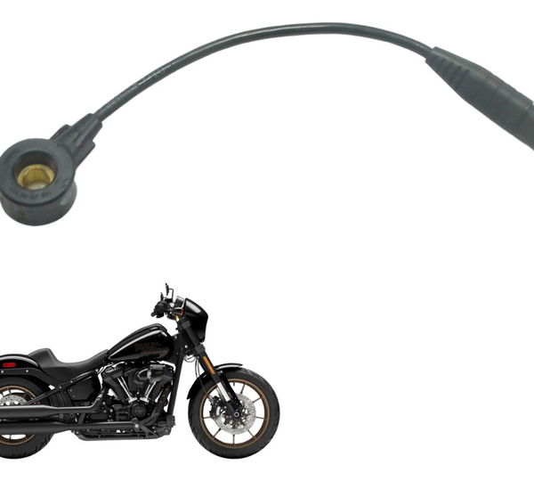 Sensor Detonação 69200840 Softail Low Rider S 114 19-22