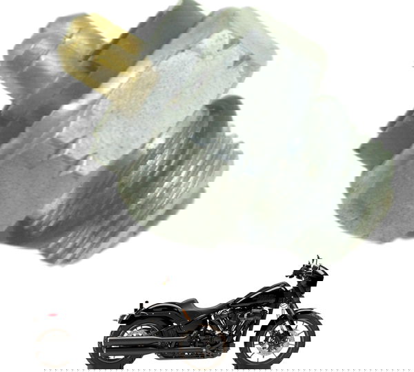 Sensor Neutro Harley Softail Low Rider S 114 19-22 Original