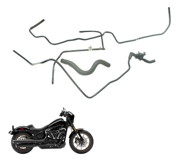 Kit Mangueiras Harley Softail Low Rider S 114 19-22 Original