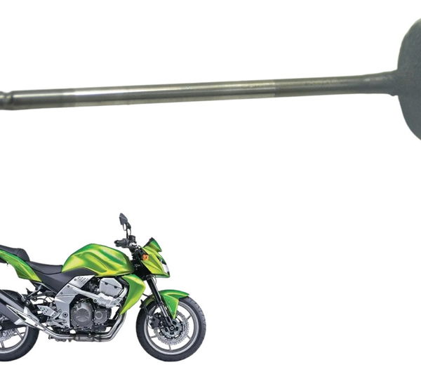 Válvula Admissão Kawasaki Z 750 08-12 Original