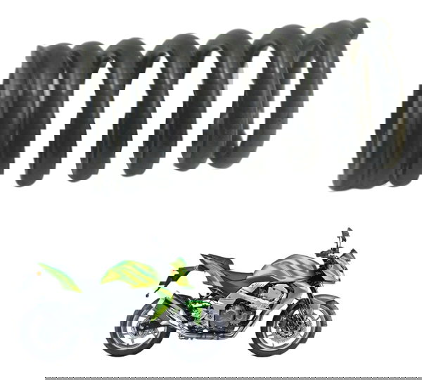 Mola Válvula Kawasaki Z 750 08-12 Original