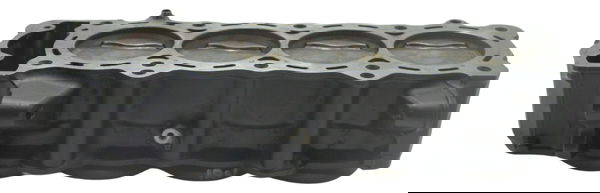 Cilindro Pistão E Anéis Kawasaki Z 1000 15-22 Original