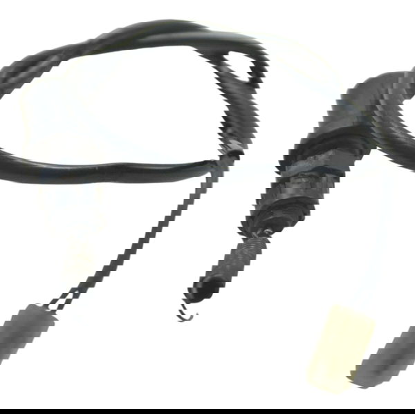 Interruptor Freio Traseiro Yamaha Xt 660 R 05-08 Original