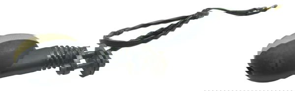 Pisca Traseiro Direito Yamaha Xt 660 R 05-08 Original