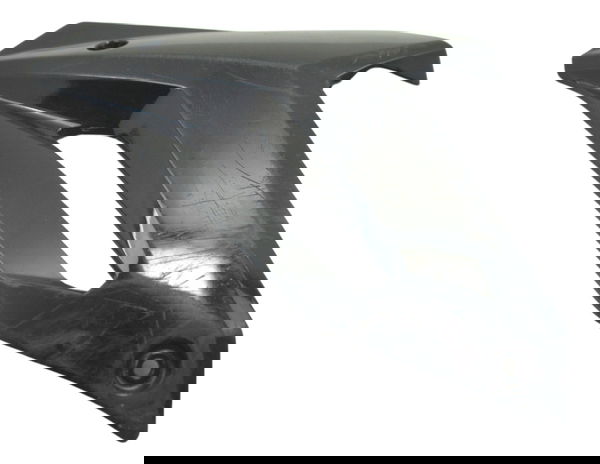 Spoiler Direito C/ Detalhes Bmw S 1000 R 14-17 Original