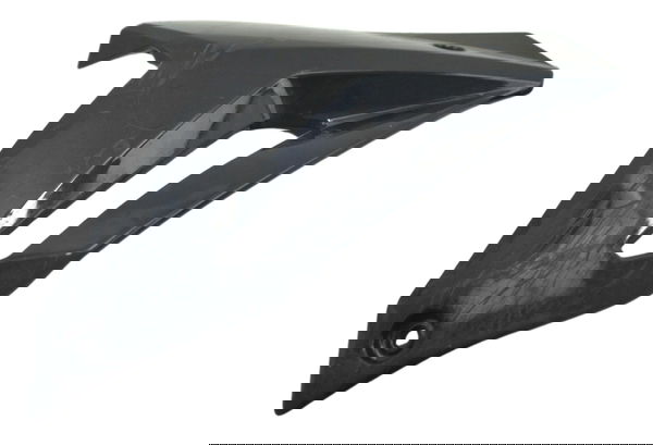 Spoiler Esquerdo C/ Detalhes Bmw S 1000 R 14-17 Original