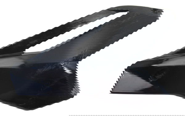 Spoiler Esquerdo C/ Detalhes Bmw S 1000 R 14-17 Original