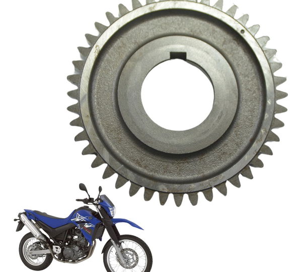 Engrenagem Motor Yamaha Xt 660 R 05-08 Original