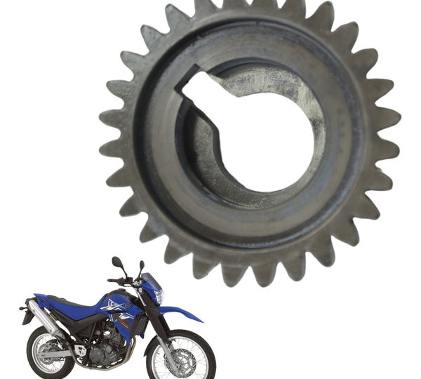 Engrenagem Motor Yamaha Xt 660 R 05-08 Original