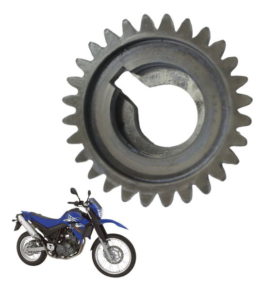Engrenagem Motor Yamaha Xt 660 R 05-08 Original