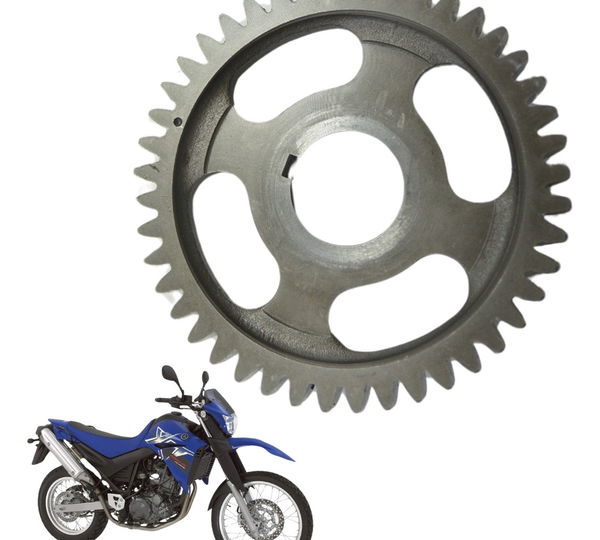 Engrenagem Balanceiro Yamaha Xt 660 R 05-08 Original