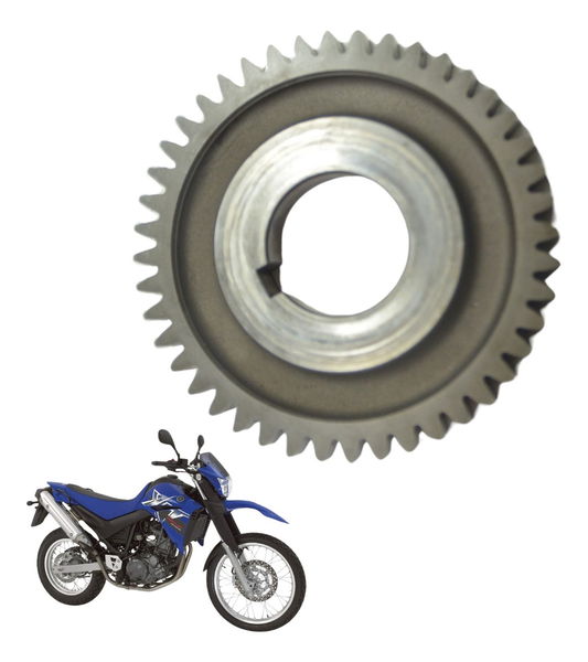 Engrenagem Motor Yamaha Xt 660 R 05-08 Original